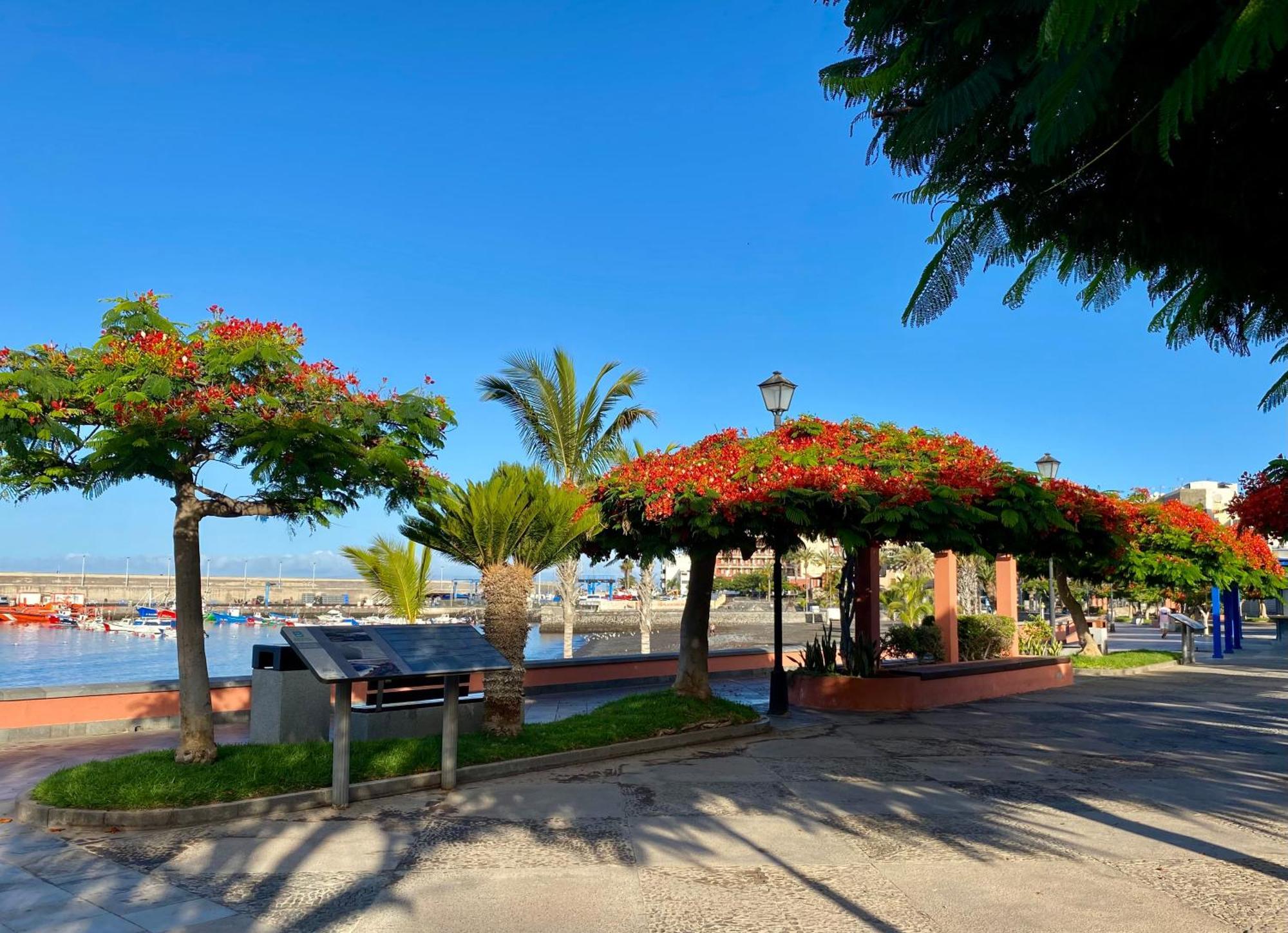 Casa Antonio - Apartamento Luna Playa de San Juan  Exterior photo